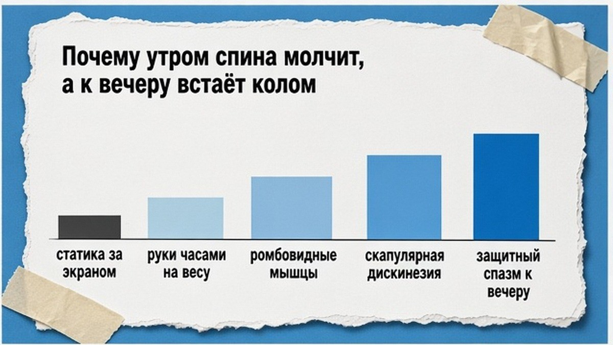 Факт-карточка: как дневная статика за экраном накапливает спазм между лопатками