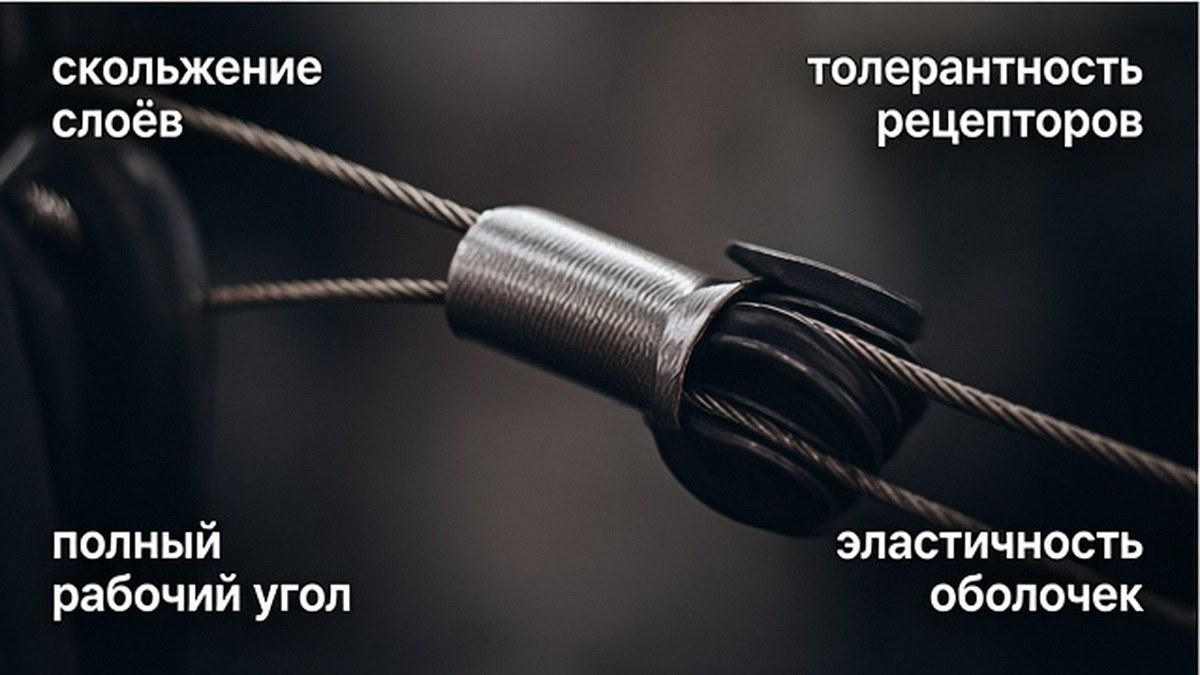 Схема: почему сила в зажатой цепи не защищает суставы