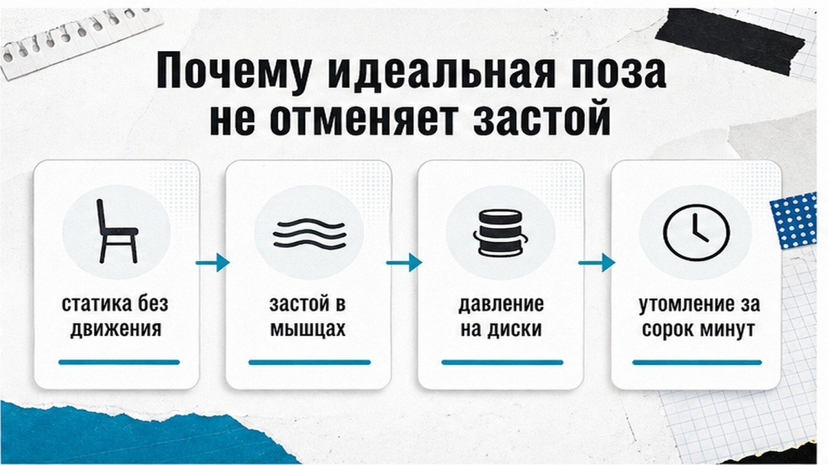 Карточка фактов: идеальная поза не отменяет мышечный застой